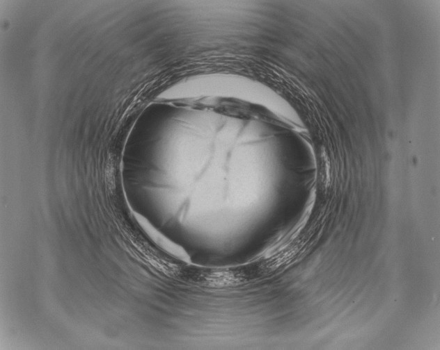 X0000071850562200607290135