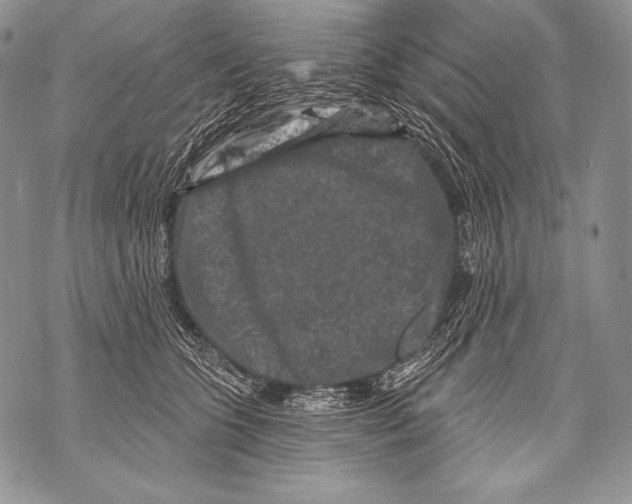 X0000071850563200607290135