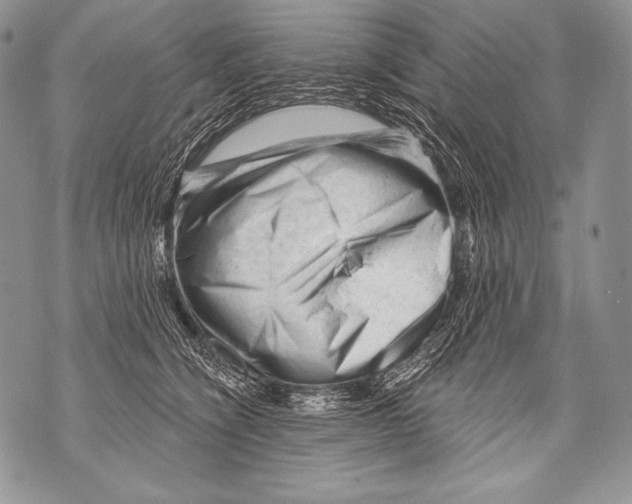 X0000071850564200607290135