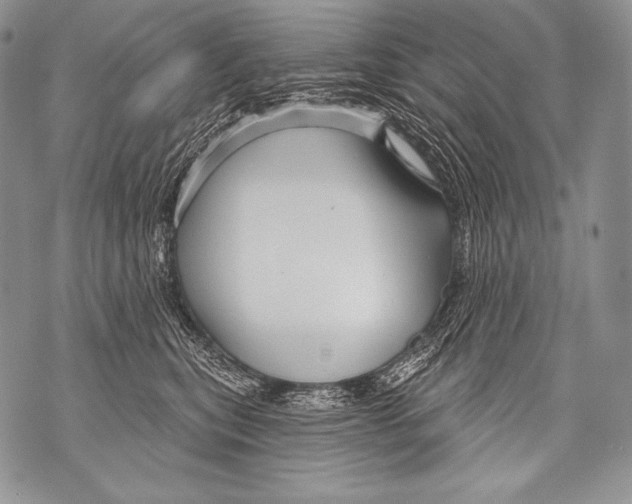 X0000071850567200607290135