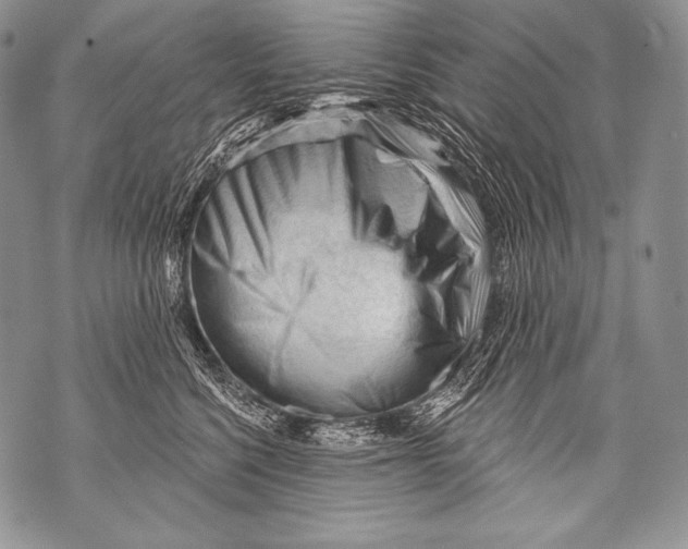 X0000071850568200607290135