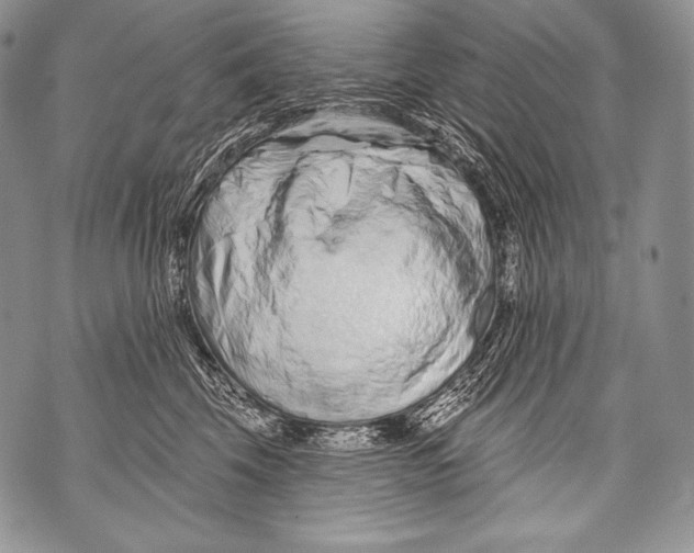 X0000071850569200607290135