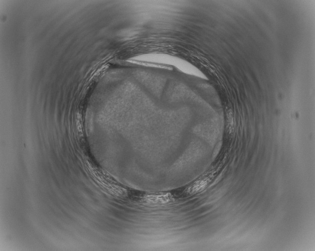 X0000071850571200607290135