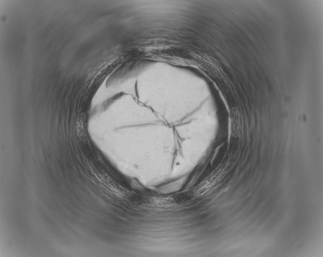 X0000071850573200607290135