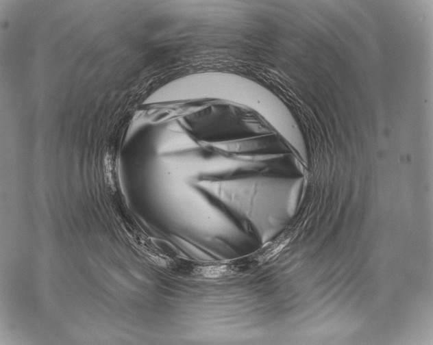 X0000071850575200607290135