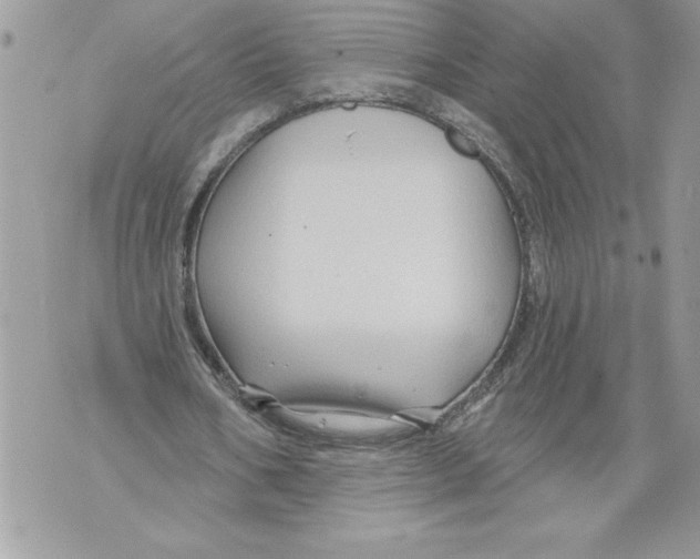 X0000071850578200607290135