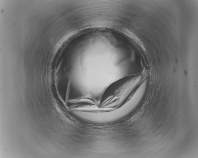 X0000071850580200607290135