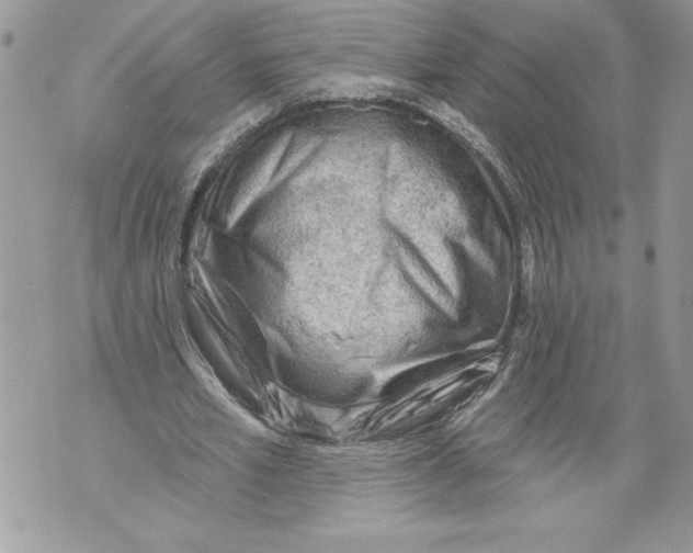 X0000071850581200607290135