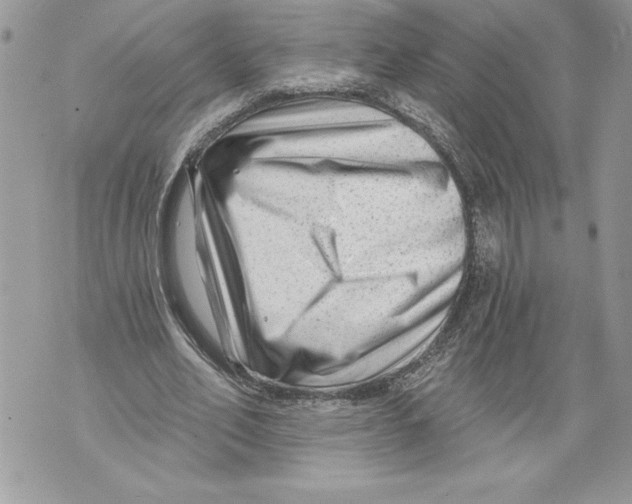 X0000071850582200607290135