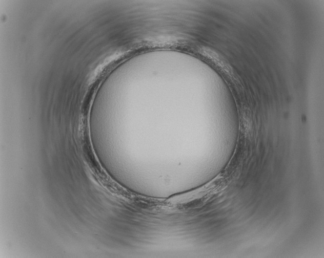 X0000071850583200607290134