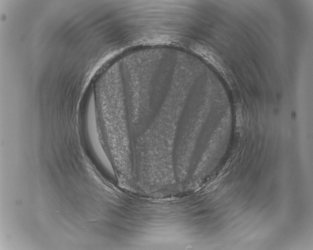 X0000071850584200607290134