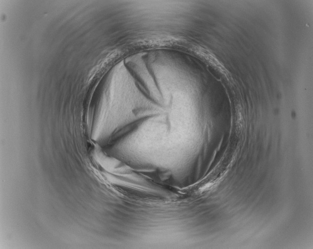 X0000071850585200607290134