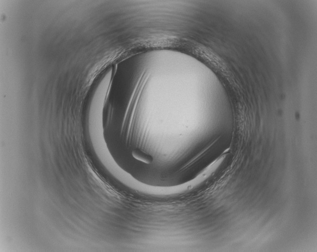 X0000071850586200607290134