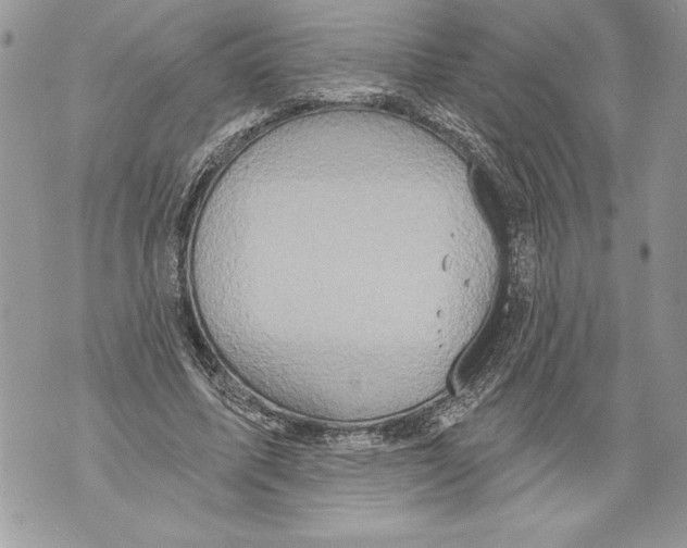 X0000071850587200607290134