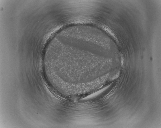 X0000071850588200607290134