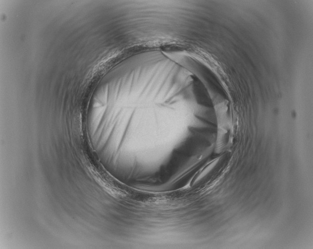 X0000071850589200607290134