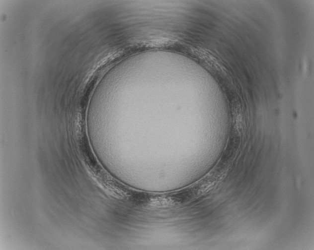 X0000071850591200607290134