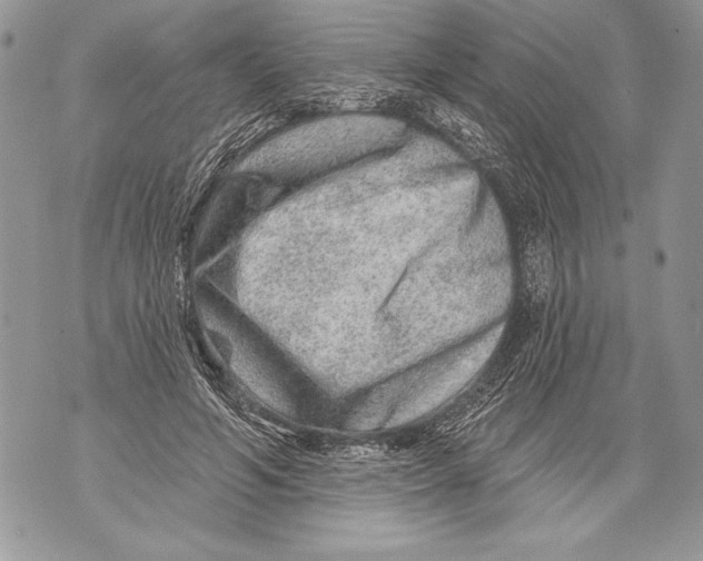 X0000071850594200607290134