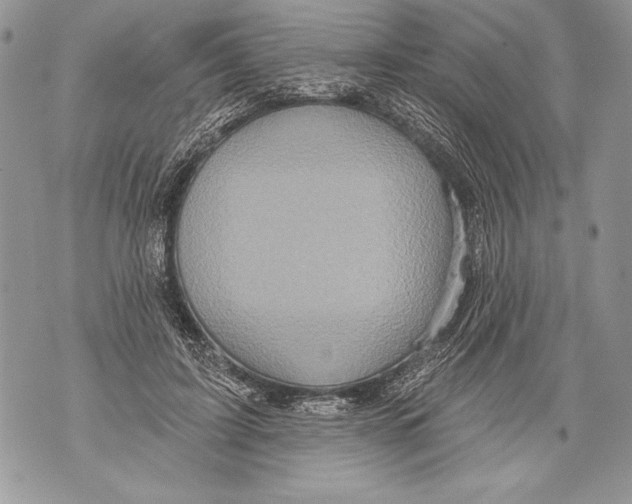 X0000071850595200607290134