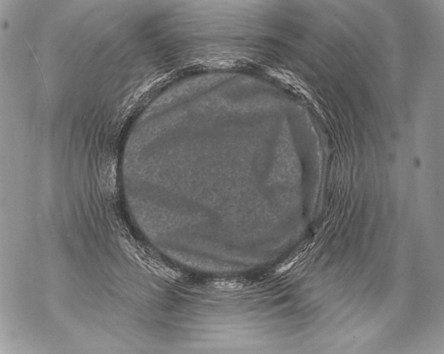 X0000071850596200607290134