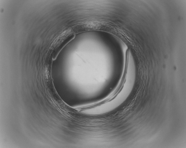 X0000071850597200607290134