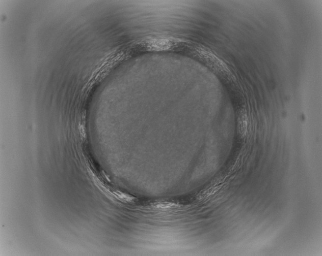 X0000071850598200607290134