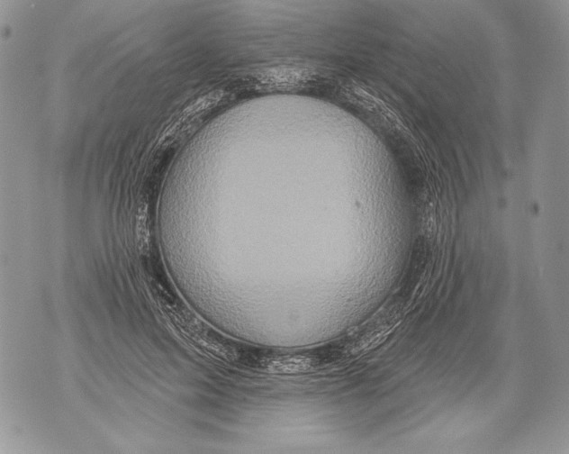 X0000071850599200607290134