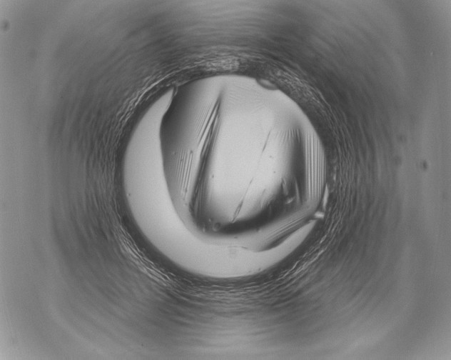 X0000071850600200607290134