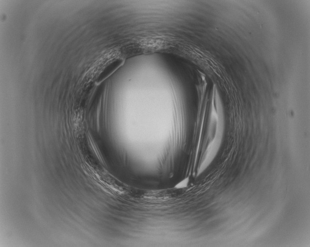 X0000071850601200607290134