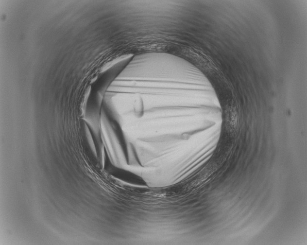 X0000071850602200607290134