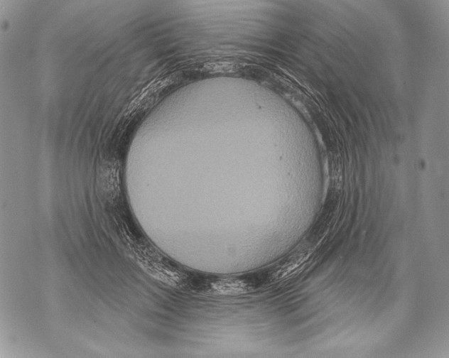 X0000071850603200607290134