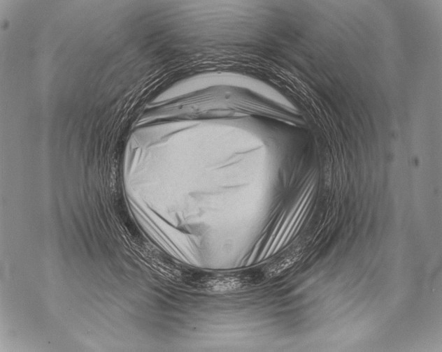 X0000071850604200607290134