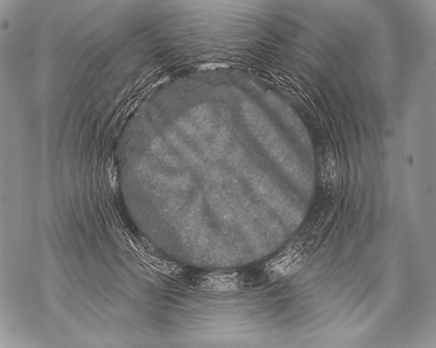 X0000071850606200607290134