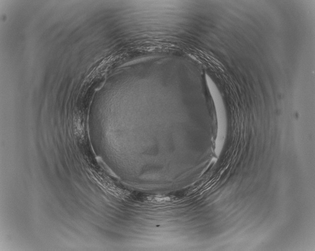 X0000071850607200607290134