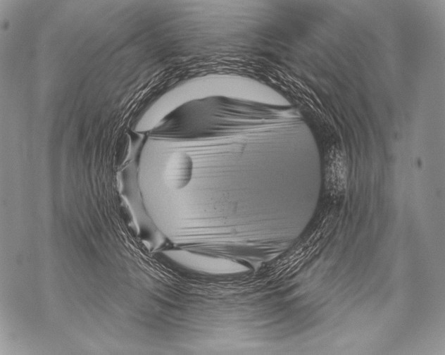 X0000071850608200607290134