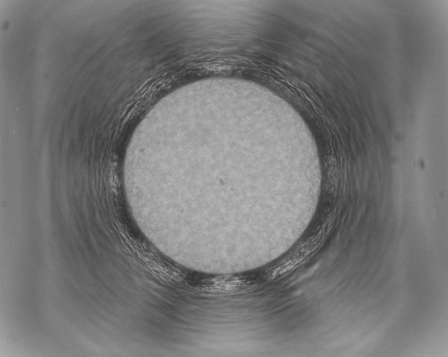 X0000071850612200607290134