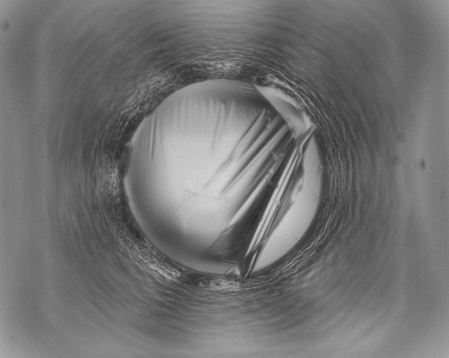 X0000071850613200607290134