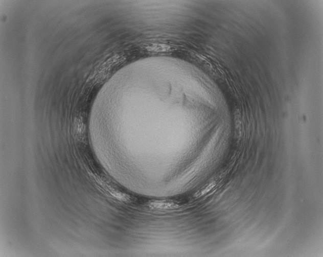 X0000071850614200607290134