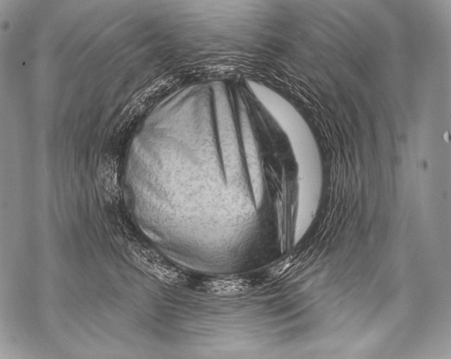 X0000071850615200607290134