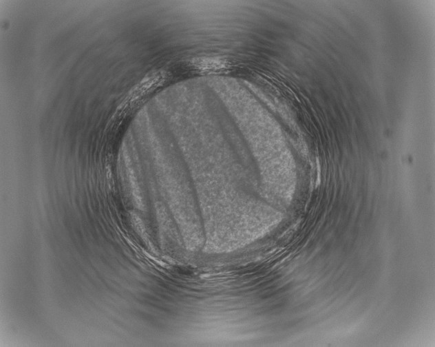 X0000071850618200607290134