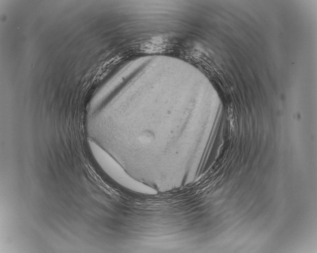 X0000071850620200607290134