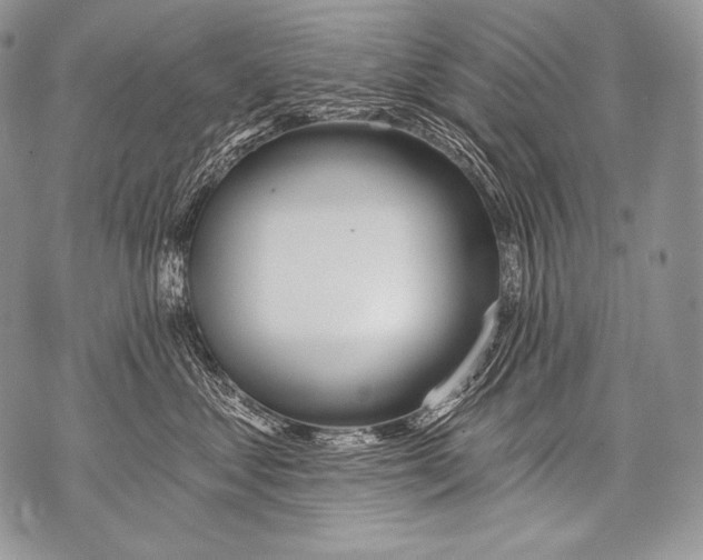 X0000071850621200607290134