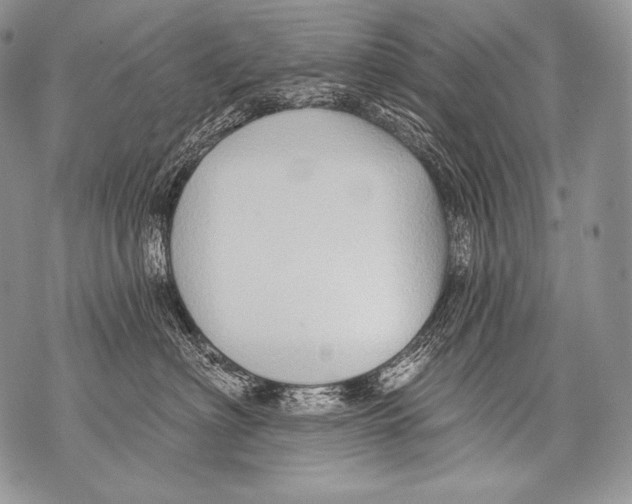 X0000071850622200607290134