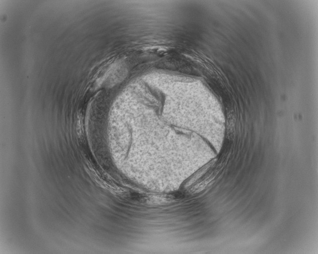 X0000071850623200607290134