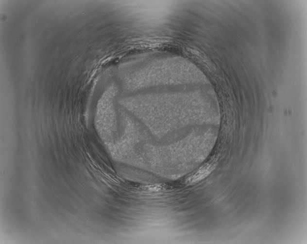 X0000071850624200607290134