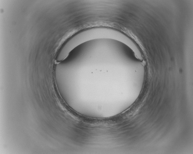 X0000071850625200607290133