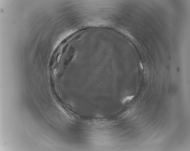 X0000071850626200607290133