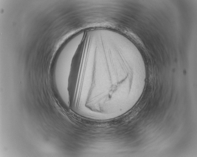 X0000071850628200607290133