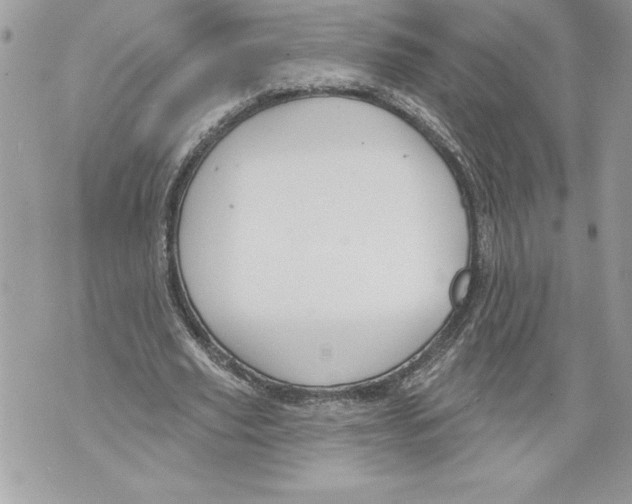 X0000071850629200607290133