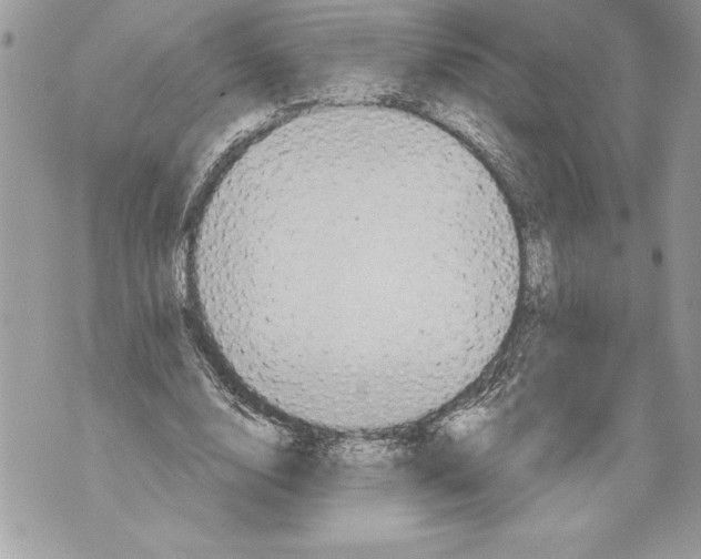 X0000071850632200607290133